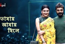 তোমায় আমায় মিলে ! অতনু